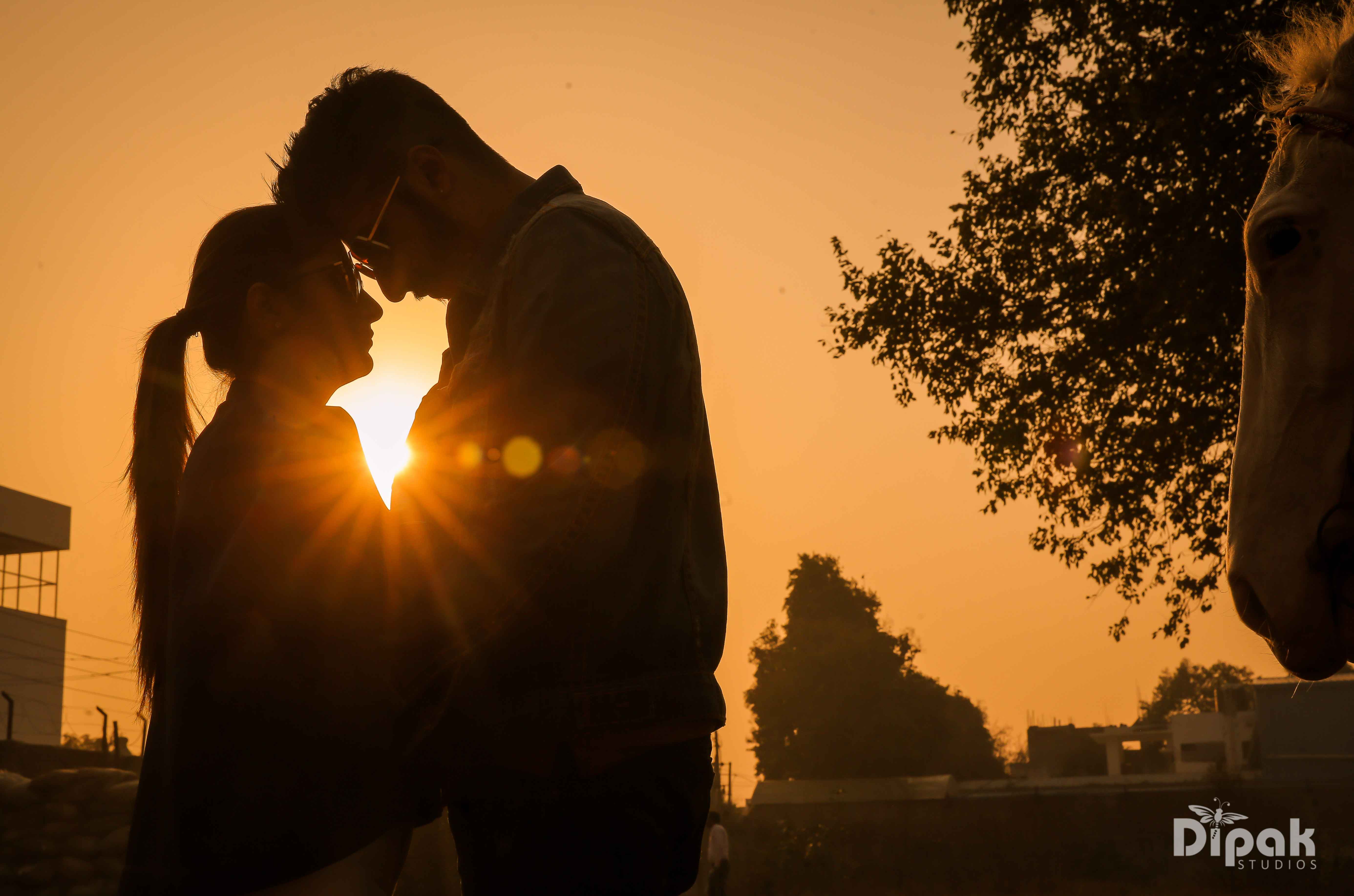 Pre Wedding Photoshoot In Delhi Gurgaon Noida Pre Wedding Photoshoots